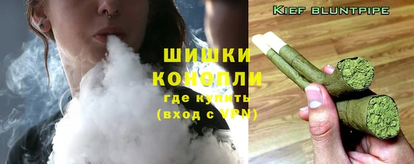 МДПВ Гусиноозёрск