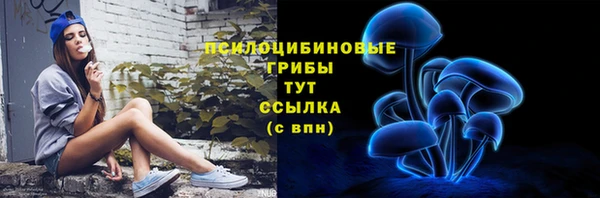 винт Гусь-Хрустальный