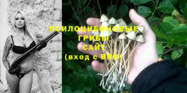 прущий лед Гусев