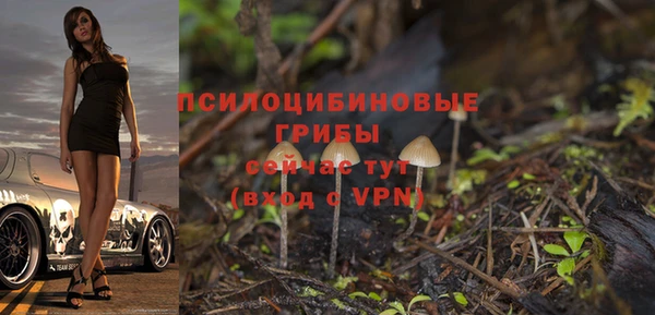 jwh Дмитриев