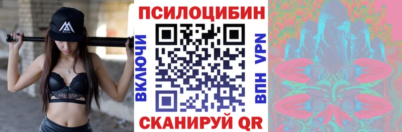 Псилоцибиновые грибы Psilocybe  Купить где  Изобильный 