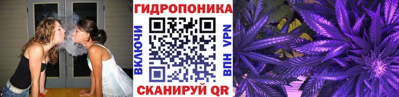 Купить закладки  Изобильный  Бошки марихуана OG Kush 